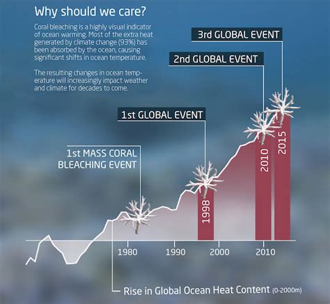 1998 Global Events