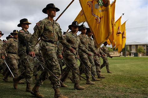 1st Cavalry Division Formation