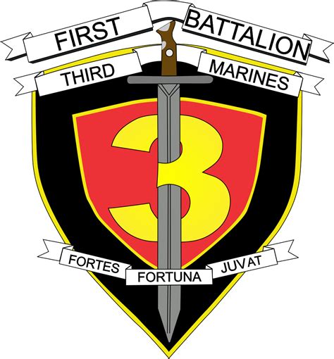 Legacy of the 1st Battalion 3rd Marines