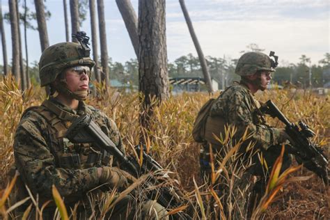 2nd LAR Battalion Training Exercises