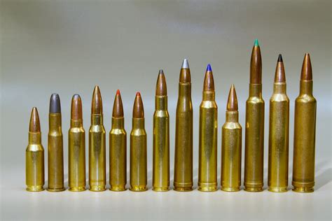 308 Winchester Caliber