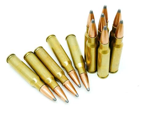 308 Rifle Rounds Hunting Applications