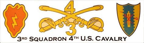 3rd Squadron, 4th Cavalry Regiment Soldiers