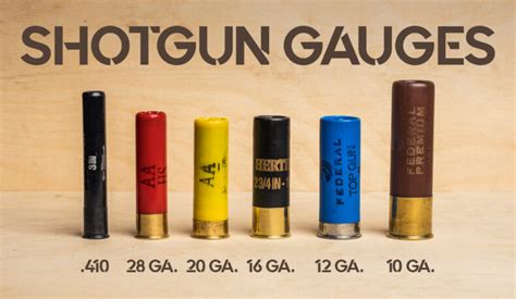 legality of 4 gauge shotgun