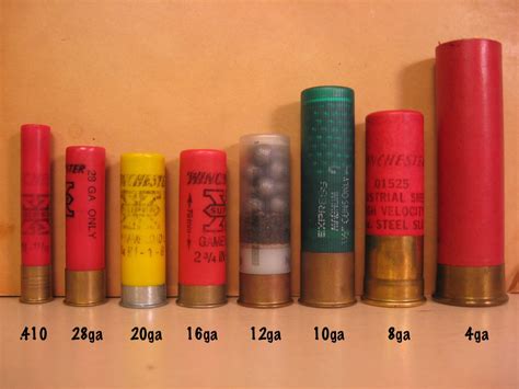 4 Gauge Shotgun Shell