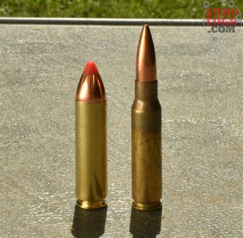 450 Bushmaster Caliber