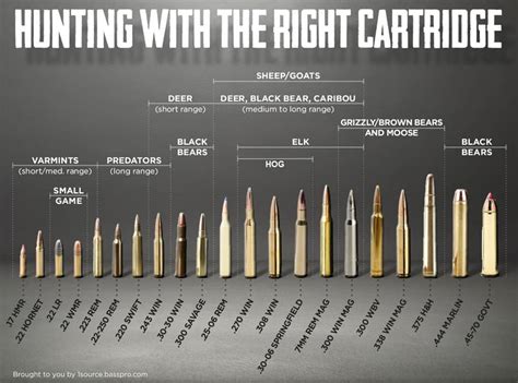 4.6x30mm Cartridge Size