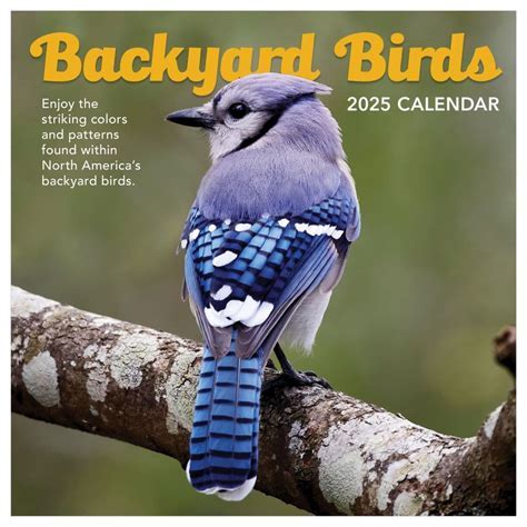 5 birds calendar image