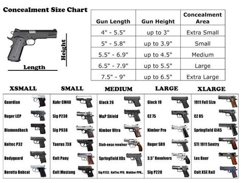 5 Guns size comparison