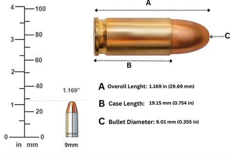 Measuring the diameter of a.50 cal bullet