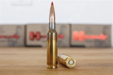 65 Creedmoor Caliber