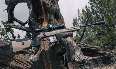 A rifle chambered in 6.5 Creedmoor with a high-quality scope