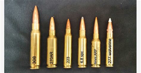 6.8 x 51 ammo cartridges