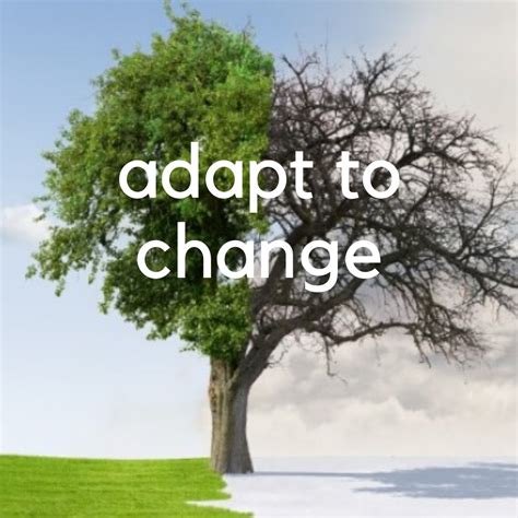 Adapting to change