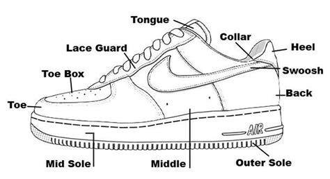 Air Force 1 Anatomy