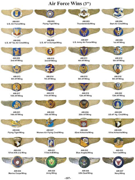 Air Force Boot Camp Insignia and Badges