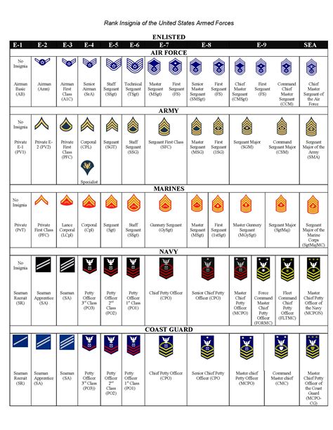 Air Force Enlisted Rank Structure Insignia