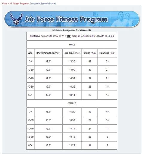 Air Force Fitness Workout Routine