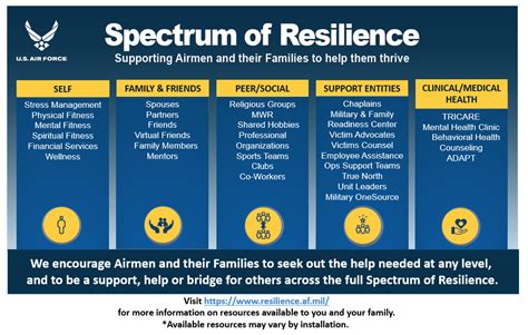 Air Force Resilience and Adaptability