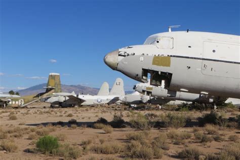 Wildlife at the Airplane Boneyard