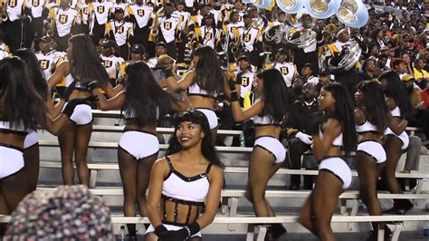 Alabama State Hornets fans