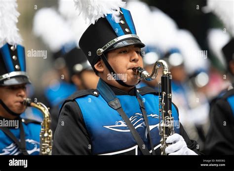 Aldine Parades