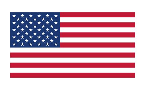 American Flag Icon