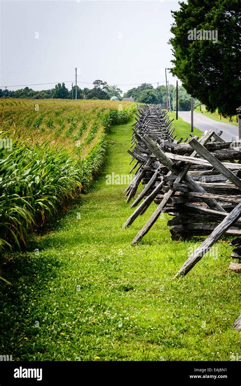 The Bloody Cornfield