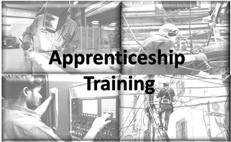 Apprenticeships and On-the-Job Training