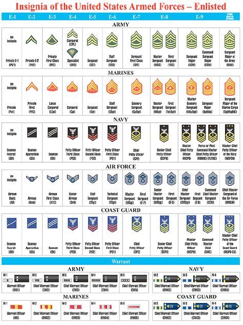 Army Aviation Branch Ranks