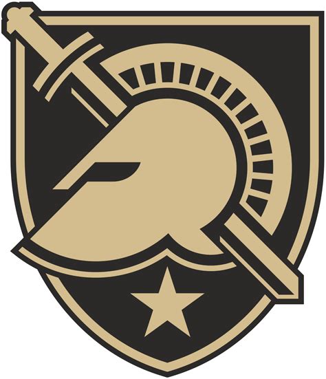 Army Black Knights in a game