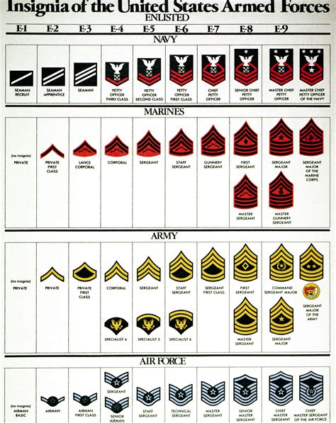 Army Enlisted Ranks Comparison