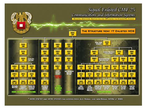 Army MOS Career Fields