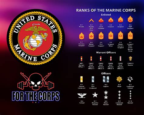 Army and Marines Enlisted vs Officer