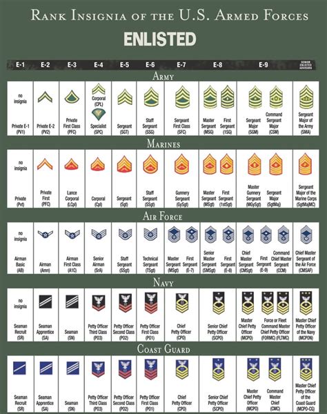 Army and Marines Rank Structure