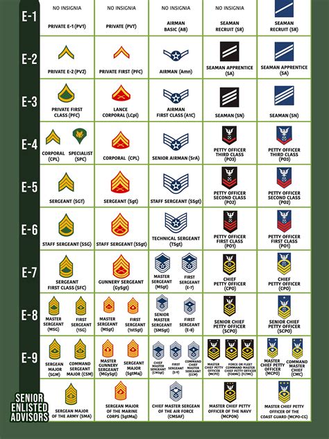 Army and Marines Rank Structure Comparison