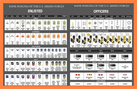 Army Officer Rank Structure 5