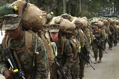 Recruits participating in physical fitness training