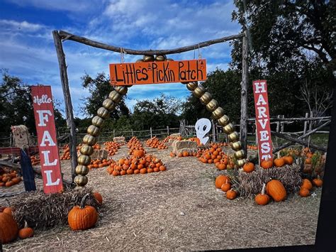 Austin Pumpkin Patches