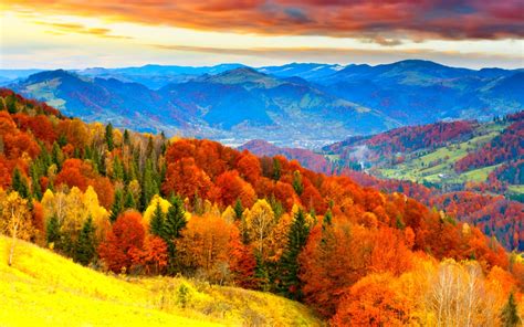 Autumn landscape image