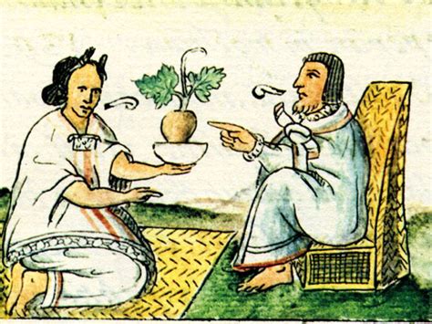 Aztec Medicine