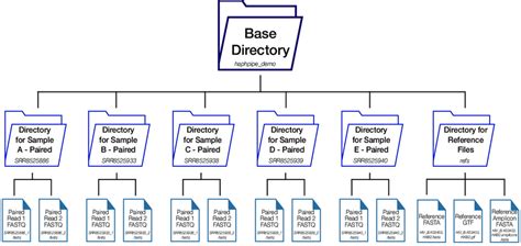 Base Directory Example