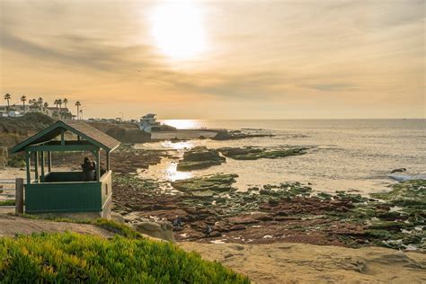 Beachcombing and Tide Pooling