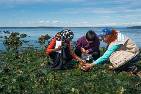 Beachcombing and Tide Pooling