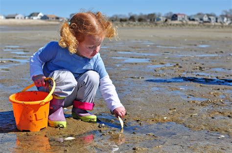 Beachcombing in US Marine Reserves