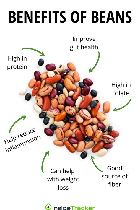 Description of Bean Health Benefits