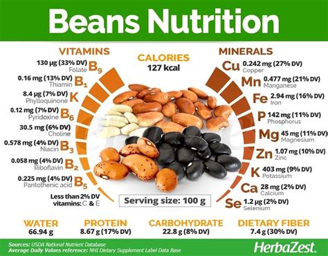 Description of Bean Nutrition