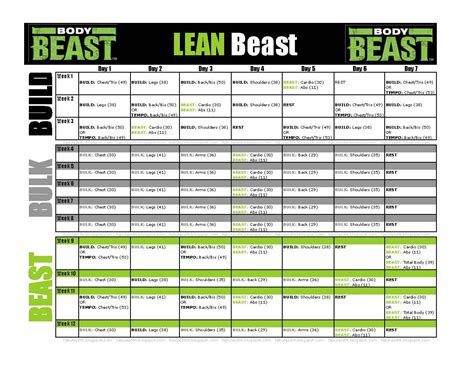 Beast Body Workout