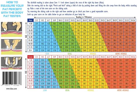 Body Fat Percentage Standards