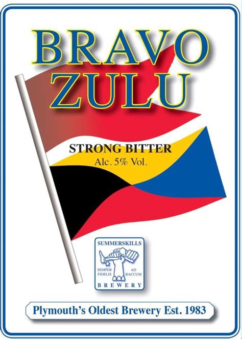 Bravo Zulu Usage Example